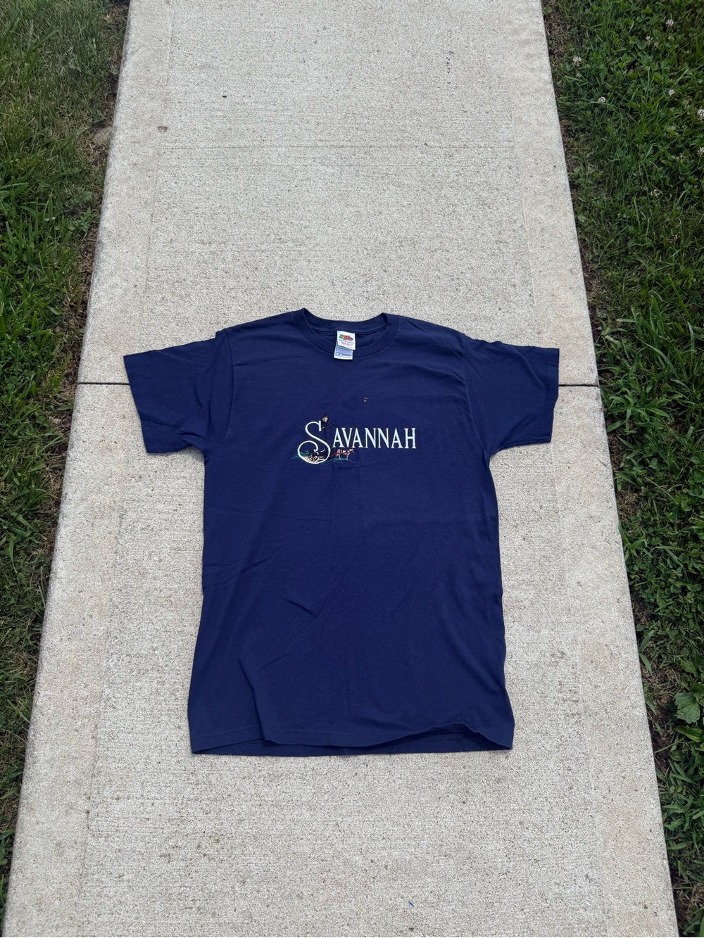 Vintage Embroidered Savannah Georgia Tee